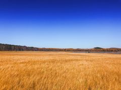 -塞罕坝国家级自然保护区