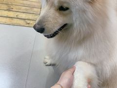 -肆兮眼镜·蔡司·徕卡战略合作店(大坪店)
