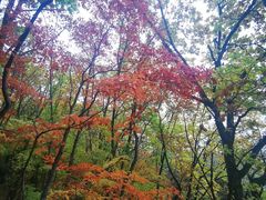 -五女山景区