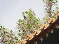 -北海公园