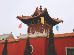 -大槐树寻根祭祖园