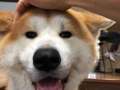 -YCHL Studios健身工作室(市二宫店)