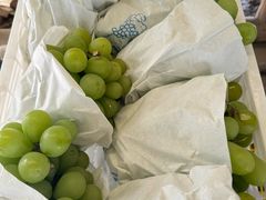 -马陆小张葡萄园农家乐