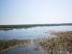 -北海金海湾红树林生态旅游区