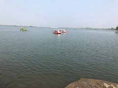 -南湖国家城市湿地公园