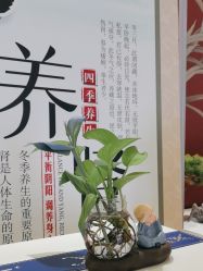 -雅曼妮spa美容养生