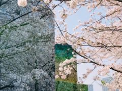 -龙美术馆(西岸馆)