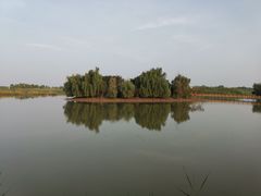 -泗洪洪泽湖湿地景区