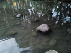 -成都市活水公园