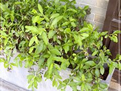 -归觅·西关小姐人文艺术馆(荔枝湾店)