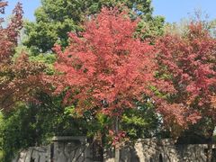 -杭州师范大学(下沙校区)