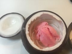 -志龙皇冠吃货椰子铺