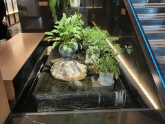 -连鹭海鲜·海肠捞饭·海胆饭(星海店)
