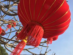 -广东茂名森林公园