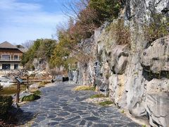 -上海吴淞炮台湾国家湿地公园