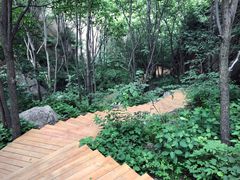 景点-大岭沟猕猴桃谷风景区