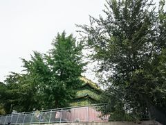 -北京西山国家森林公园