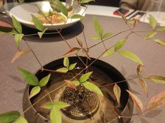-隆荟•台州菜•粤菜