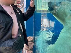 -泉城欧乐堡海洋极地世界