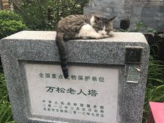-庆丰包子铺(西单店)