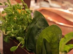 -牛村来人潮汕牛肉火锅(西单店)