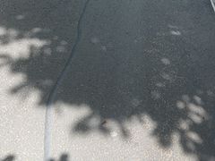 -索拉古贝(义乌北苑店)