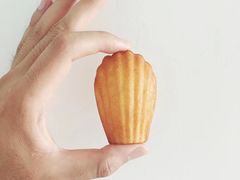 -美斯烘焙培训学院•蛋糕•面包•咖啡(宝安校区)