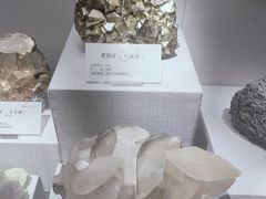 -湖南省地质博物馆