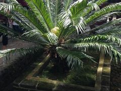 -古田会议纪念馆