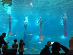 -福州罗源湾海洋世界旅游区