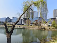 -尚贤河湿地
