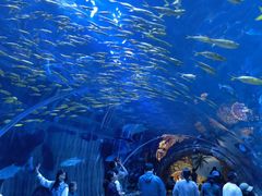 -华夏文旅海洋公园