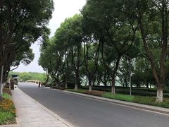 -昆山城市生态森林公园