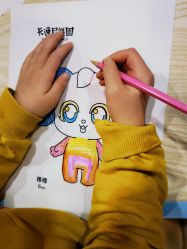 -卡通尼·Safari非洲探索乐园·生日会(金桥国际商业广场店)