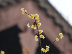 -钱王祠