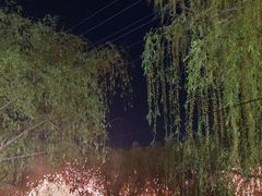 -淄博花灯齐彩城