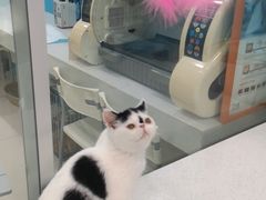 -乖乖乐动物医院(小汤山分院)