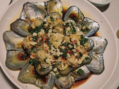 -全乐鱼馆·淳牌有机鱼直营店