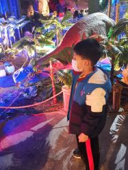 -恐龙探索乐园(磁器口店)