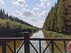 -黄海国家森林公园