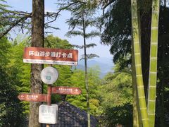 -莫干山风景区