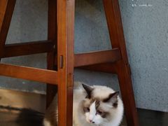 -咖法森林·咖啡  酒吧(天河店)