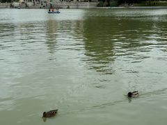 -丽池公园