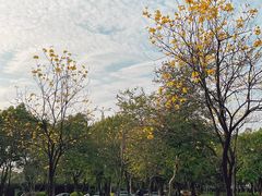 -二沙岛艺术公园