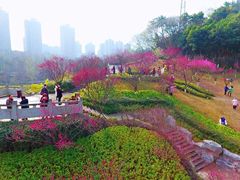 -重庆彩云湖湿地公园