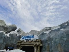-上海海昌海洋公园
