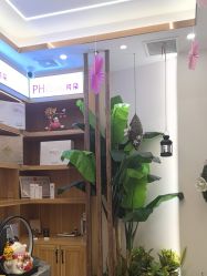 -芳朵美容养生SPA
