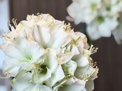-悦厅·下午茶(杭州柏悦酒店)