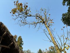 -河姆渡遗址博物馆