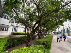 -北京四中(道元校区)